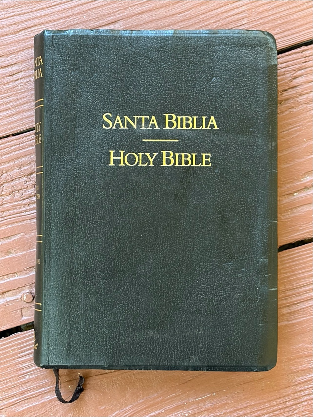 Bilingual NIV Bible